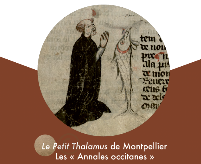 Illustration Petit Thalamus